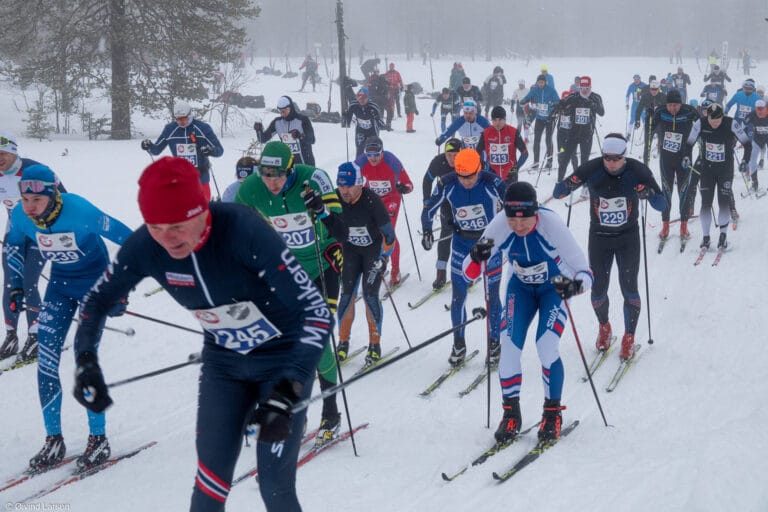 Trysil-Knut