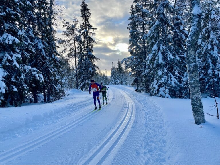Trysil-Knut
