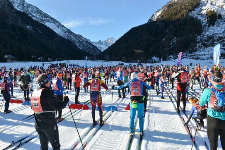 Marcia GranParadiso