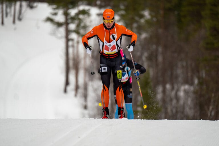 Arctic Alta