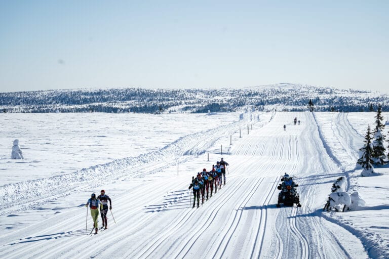 Birkebeinerrennet