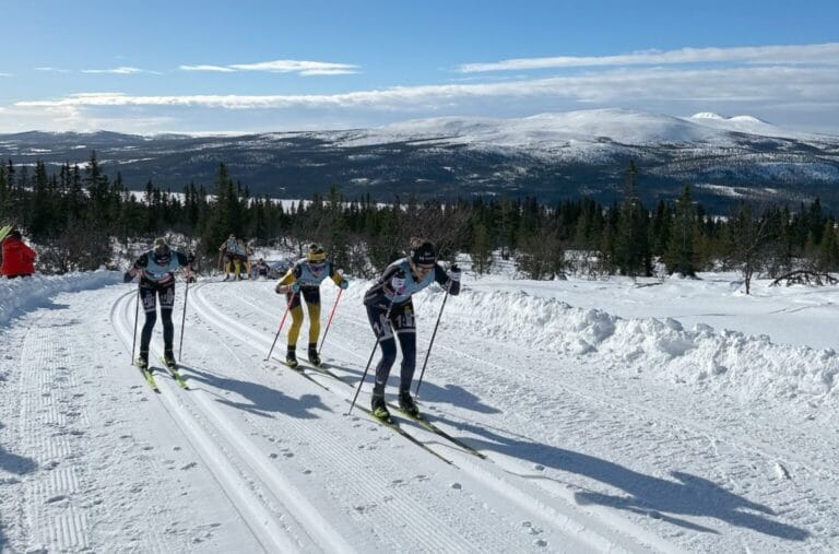 Lofsdalen