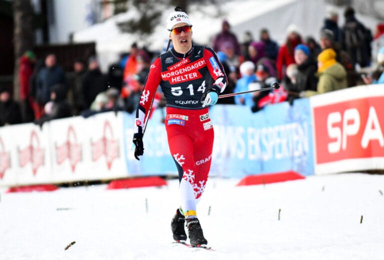 finish Vegard
