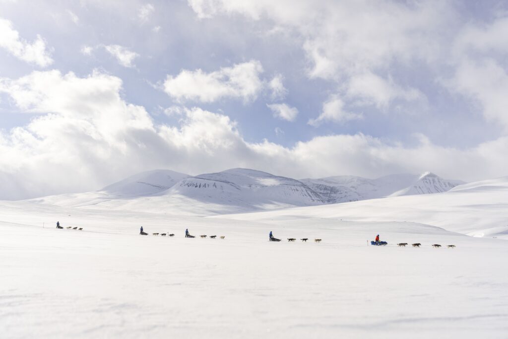Fjällräven